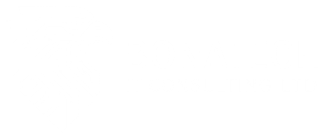Bonatech IT Consulting logo